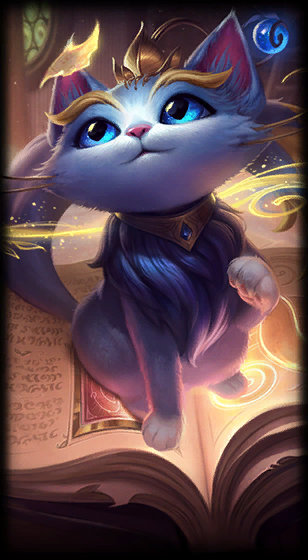 他丰富的比 他丰富的比